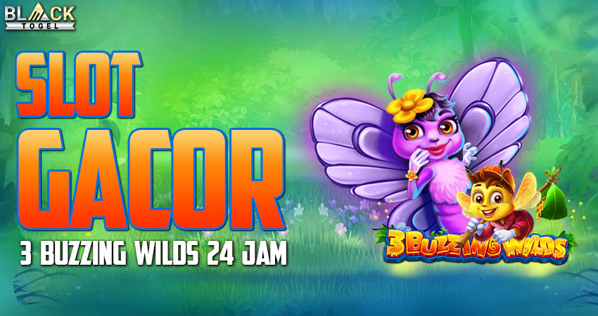 Slot Gacor 3 Buzzing Wilds 24 Jam